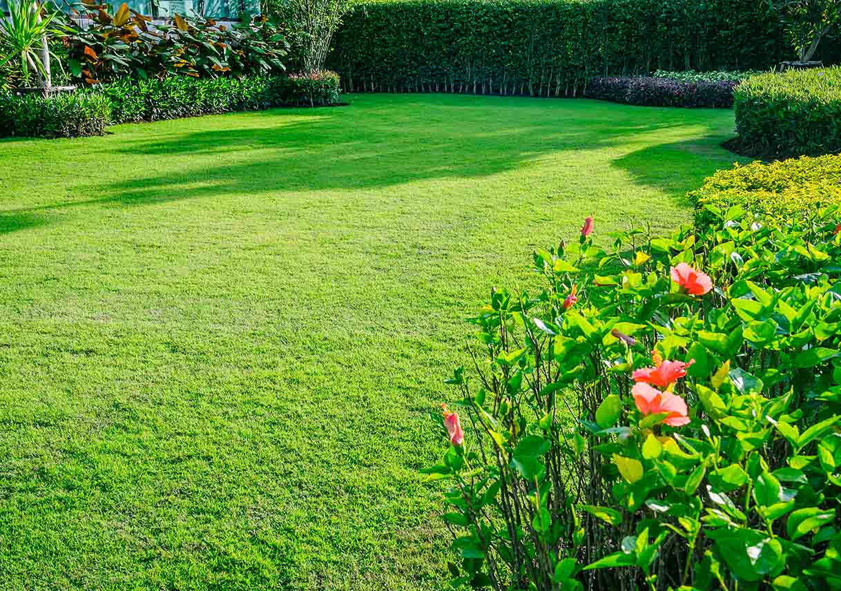 Spring Lawn Care Tips to Bring Your Lawn Back to Life Best Pick Reports