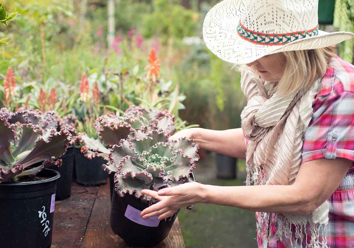 Landscaping 101: How to Get Started