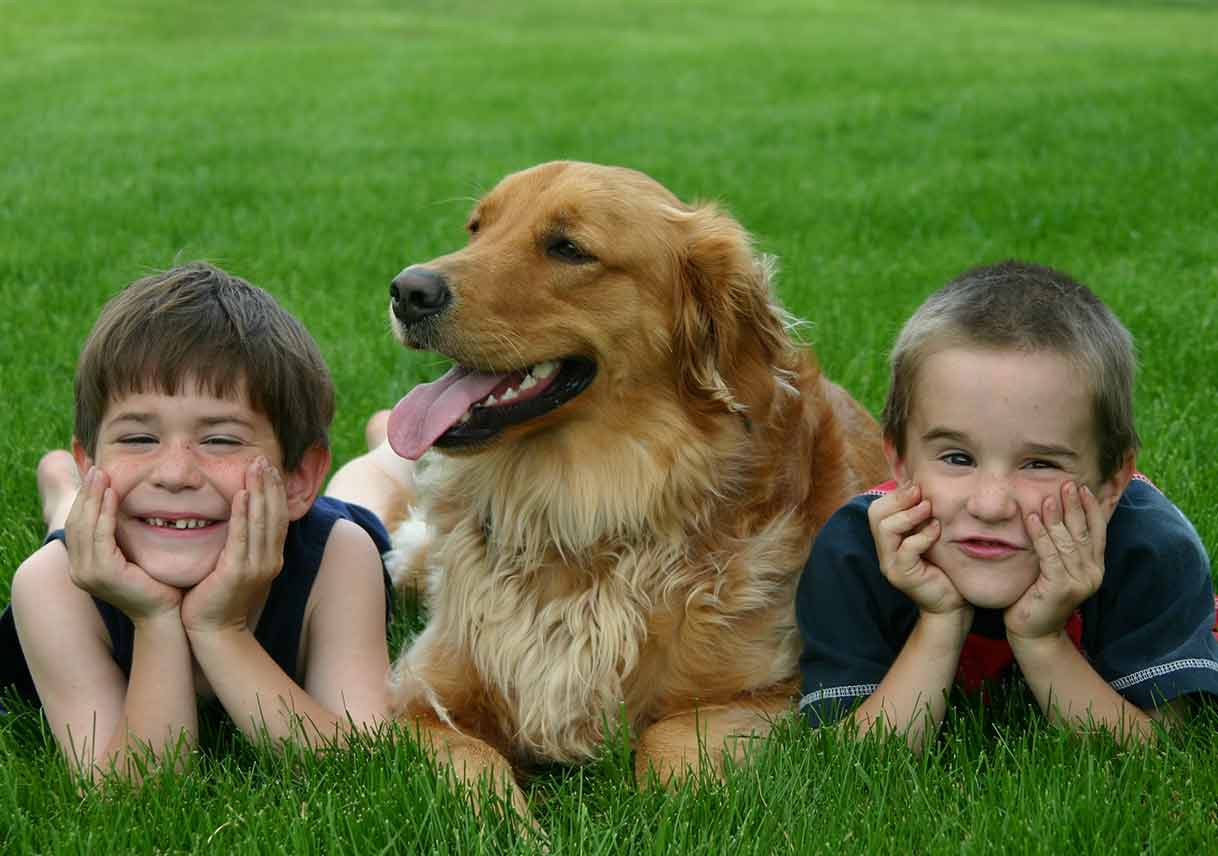 Organic Lawn Care 101