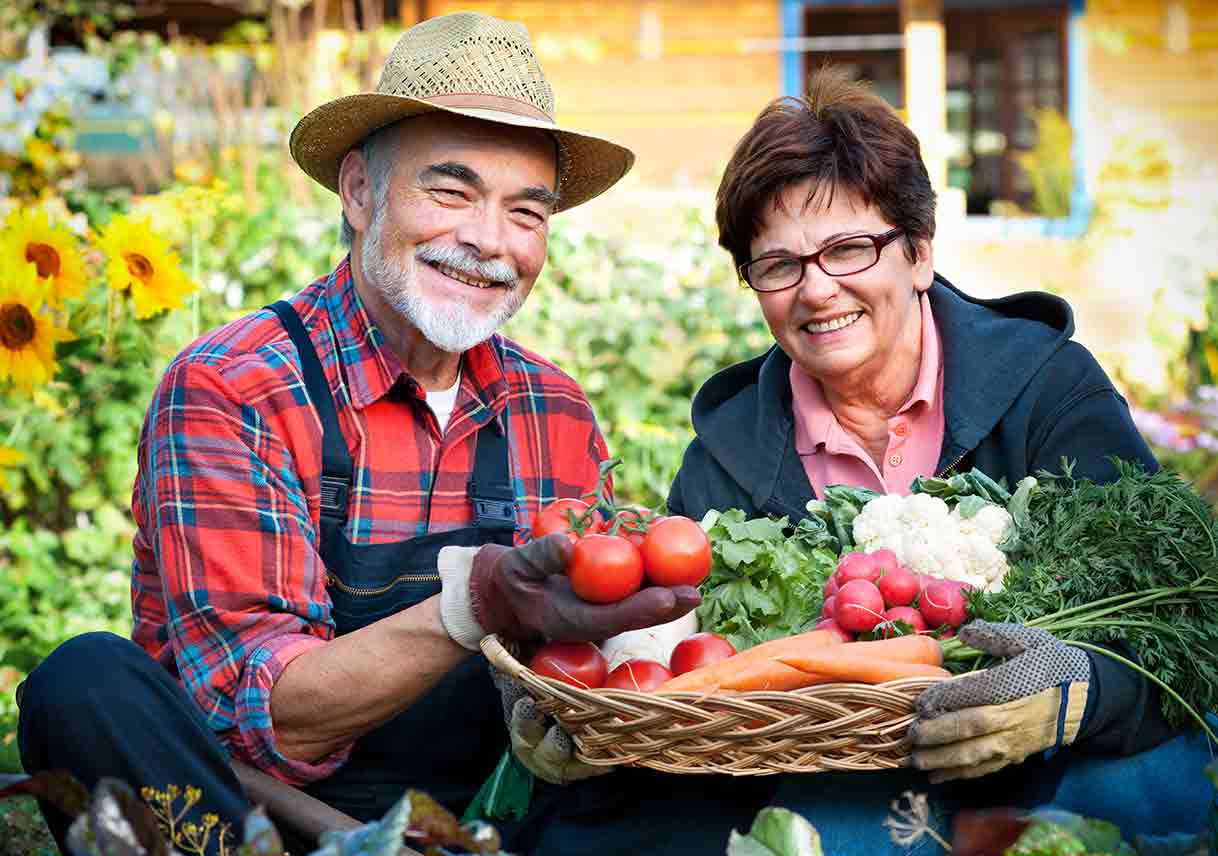 How Companion Planting Will Keep Your Veggies Happy