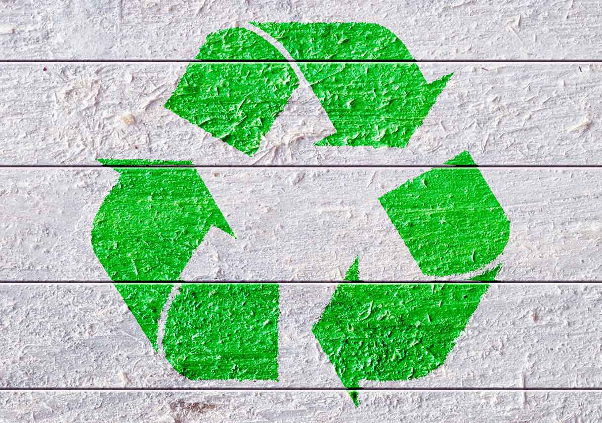 Your Comprehensive Guide to EcoFriendly Painting Best Pick Reports