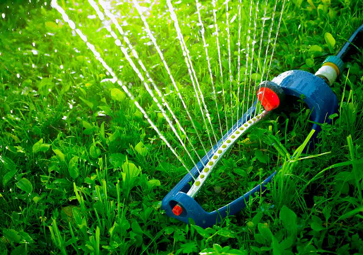 Lawn Care Basics for the Green Thumb-less