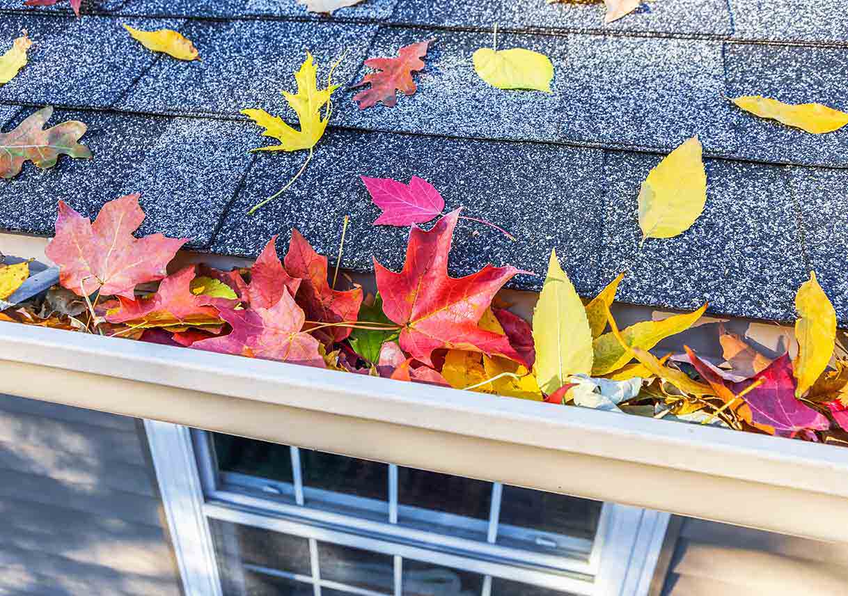 6 Essential Projects to Prepare Your Home for Fall