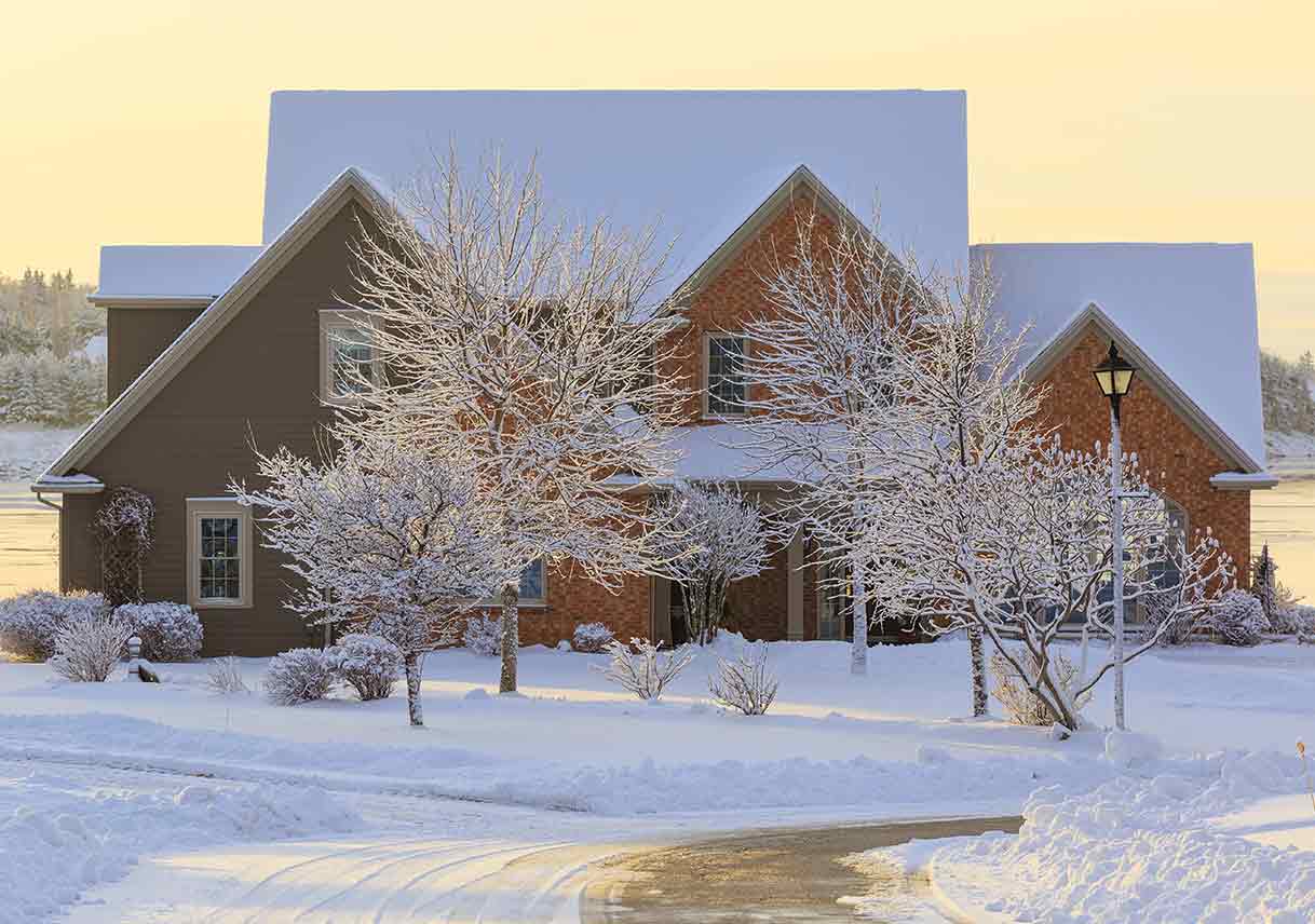 How to Prep Your Trees for the Upcoming Chill