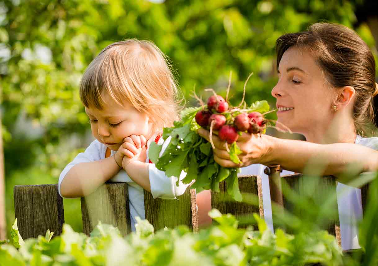 Infographic of Crops to Harvest in the Fall