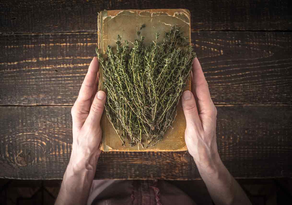 Herb Garden DIY Tips