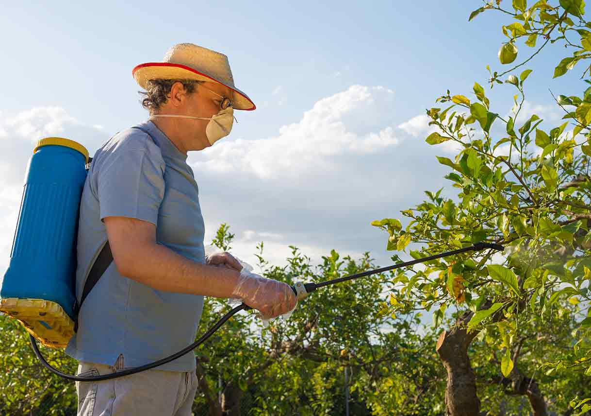 What You Need to Know About Integrated Pest Management