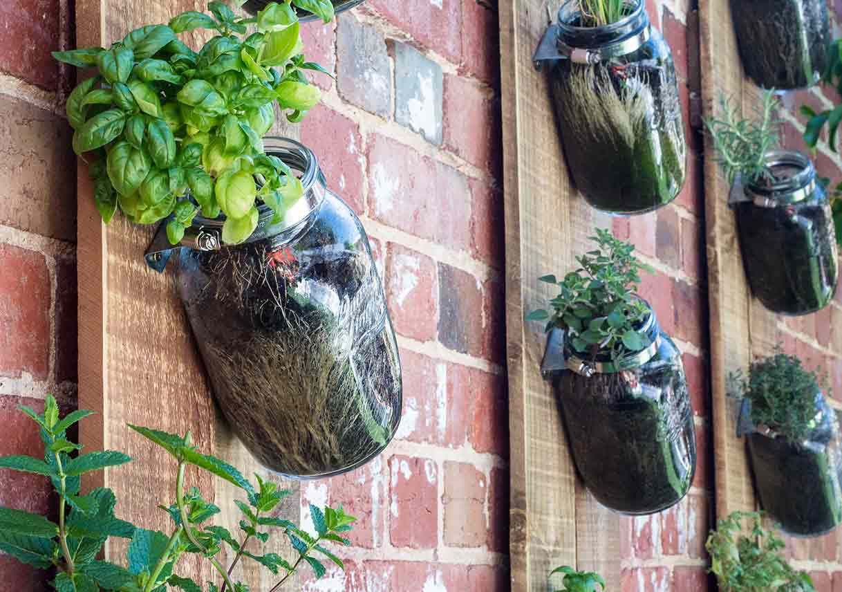 Gardening 101: A Garden for Every Space