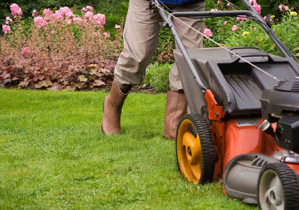 Love It or Leaf It! Yard Equipment You Can’t Live Without