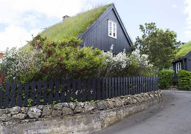 5 Ideas for a Green Roof [Infographic]