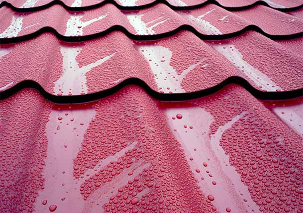 Go Green with Eco-Friendly Options for Exterior Remodeling