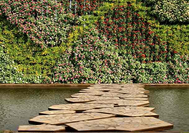 Bring Your Home to Life with Living Walls