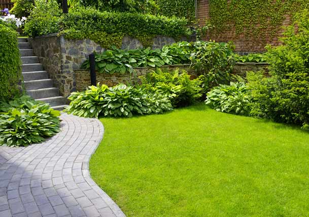 How to Keep Your Grass Green [Infographic]