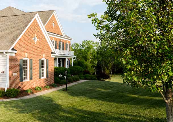 How to Be Your Yard’s First Line of Defense Against Common Threats