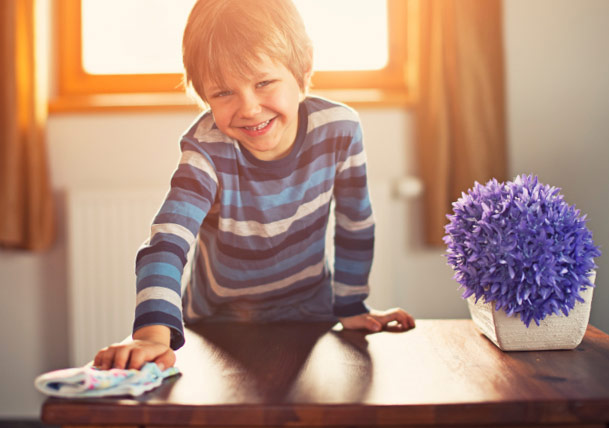 Follow the Best Pick Reports Chore Schedule: Living Spaces