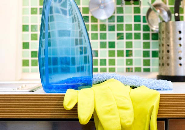 Bacteria Lives There??