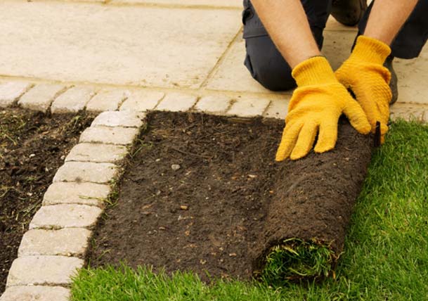 PLANET Rebranded to National Association of Landscape Professionals