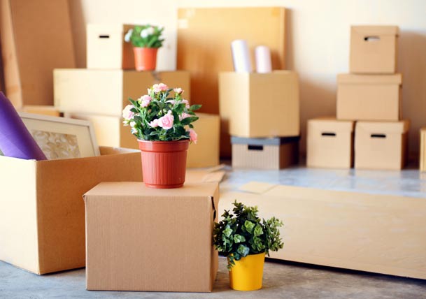 Ultimate Moving Checklist – 5 Weeks Out