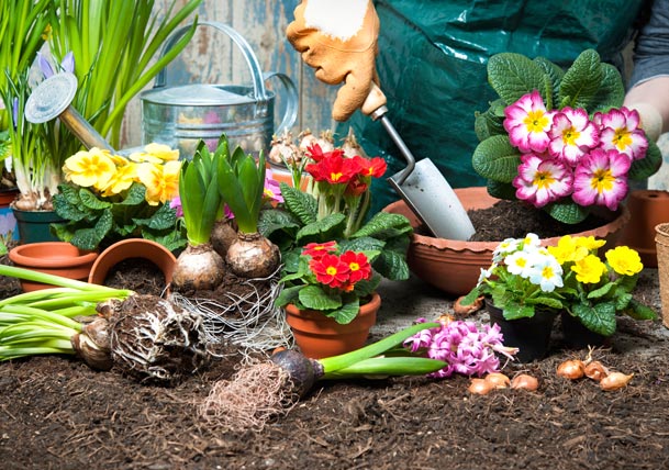 What You Need to Know About Greywater