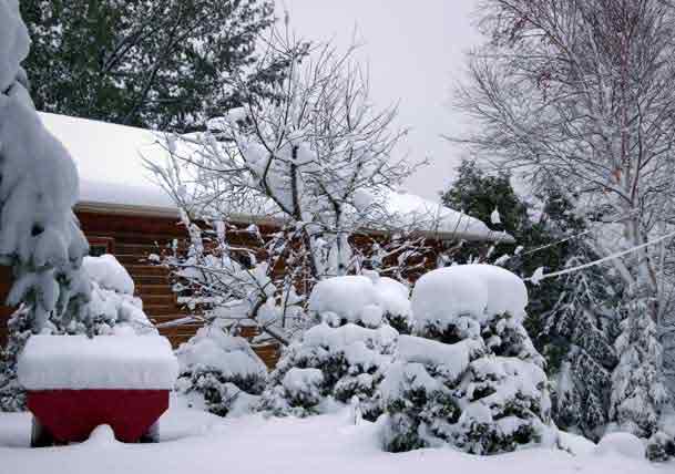 5 Things Not to Do After a Winter Storm