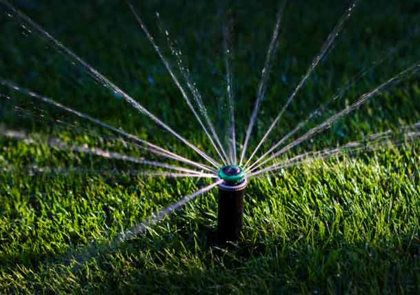 Spread the Love to Your Plants by Automating Your Irrigation