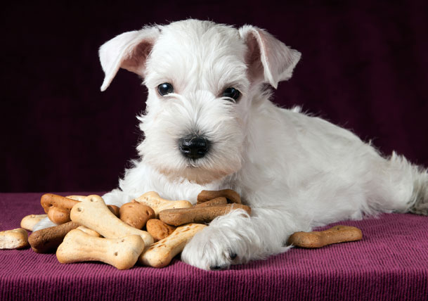 3 Signs That You’re a Hoarder