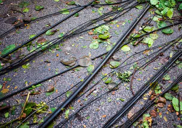 After the Storm: What Not to Do