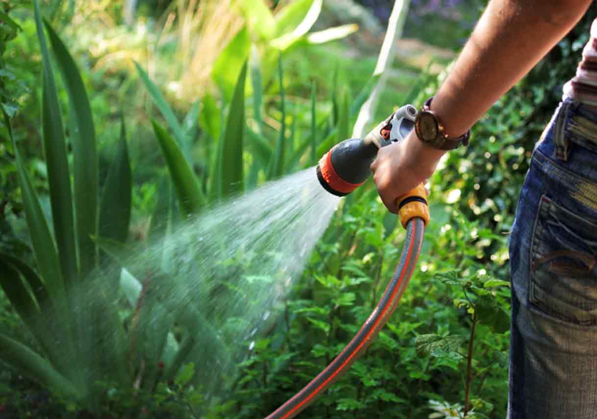 Conserving Water and Energy in Your Landscaping
