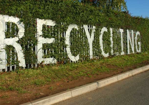 Why Should You Recycle Your Junk? Learn About the Benefits of Recycling