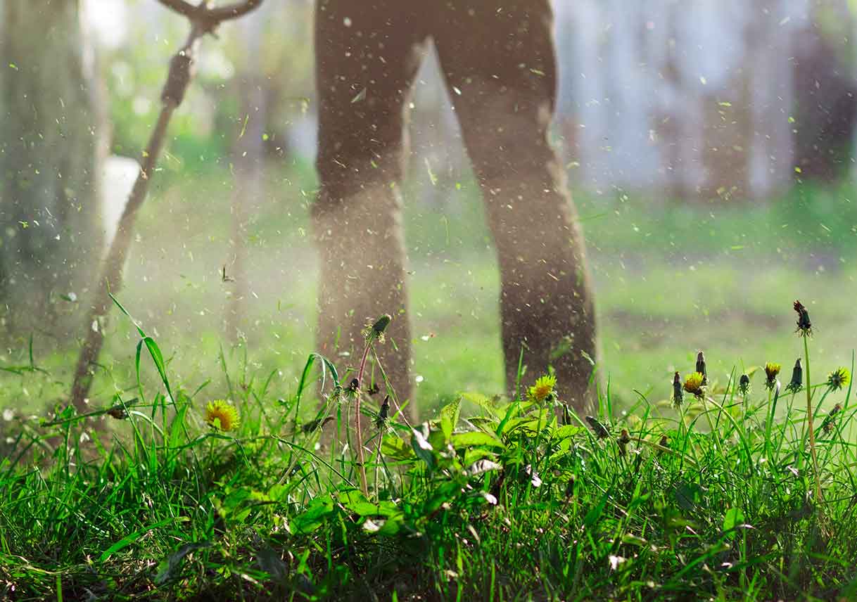 Give Your Grass a Head Start The Howto’s of Lawn Scalping Best Pick