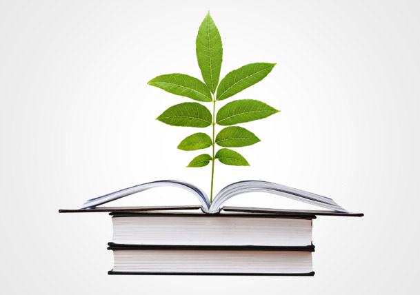 Fun Facts About Trees