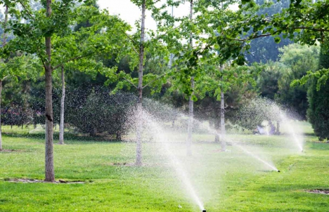 thumbnail interactive-video image 1 of TheSiliconValley Garden Lawn Sprinkler – Auto Spray Grass Watering System For Patio & Yard 1 of 4