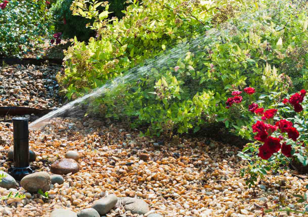 Get the Scoop on Automatic Lawn Sprinkler Systems (Part 2 of 2)