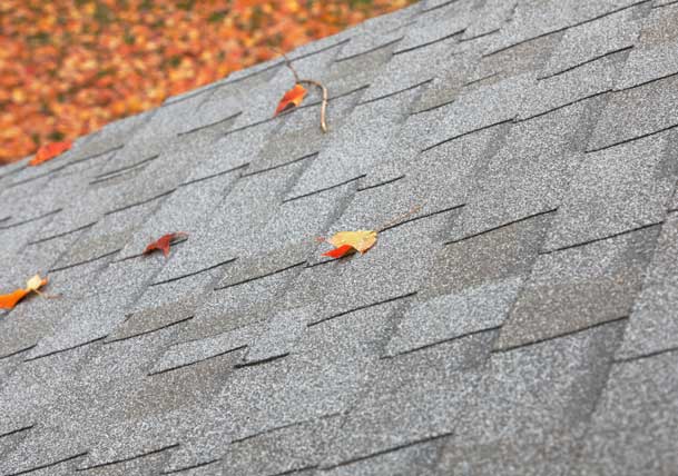 What are Asphalt Shingles and What Do They Do for Your Roof?