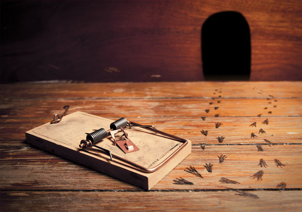 Keep Out! A Best Pick’s Most Effective Pest Control Methods