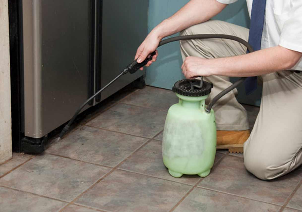 Don’t Let Unfamiliar Pest Control Terms Intimidate You!