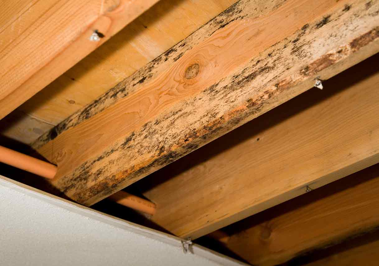 Preventing Water Intrusion Problems Before They Start