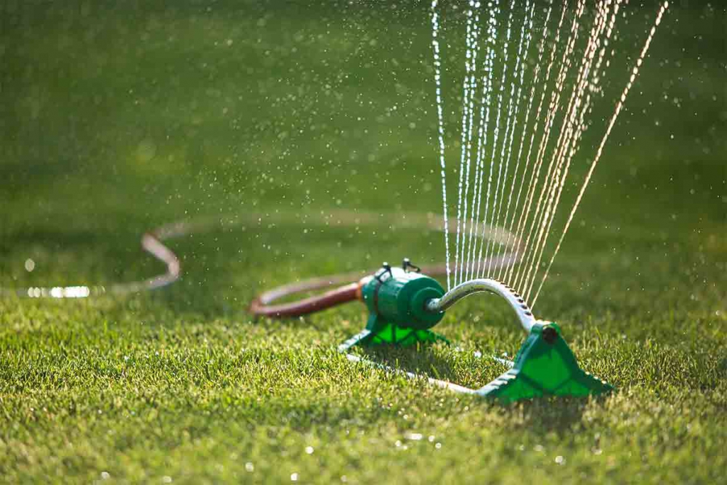 sprinkler watering bright green grass