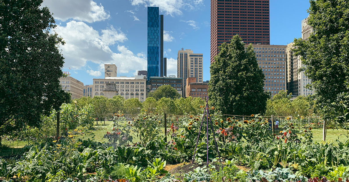 Gardening in Chicago Year-Round