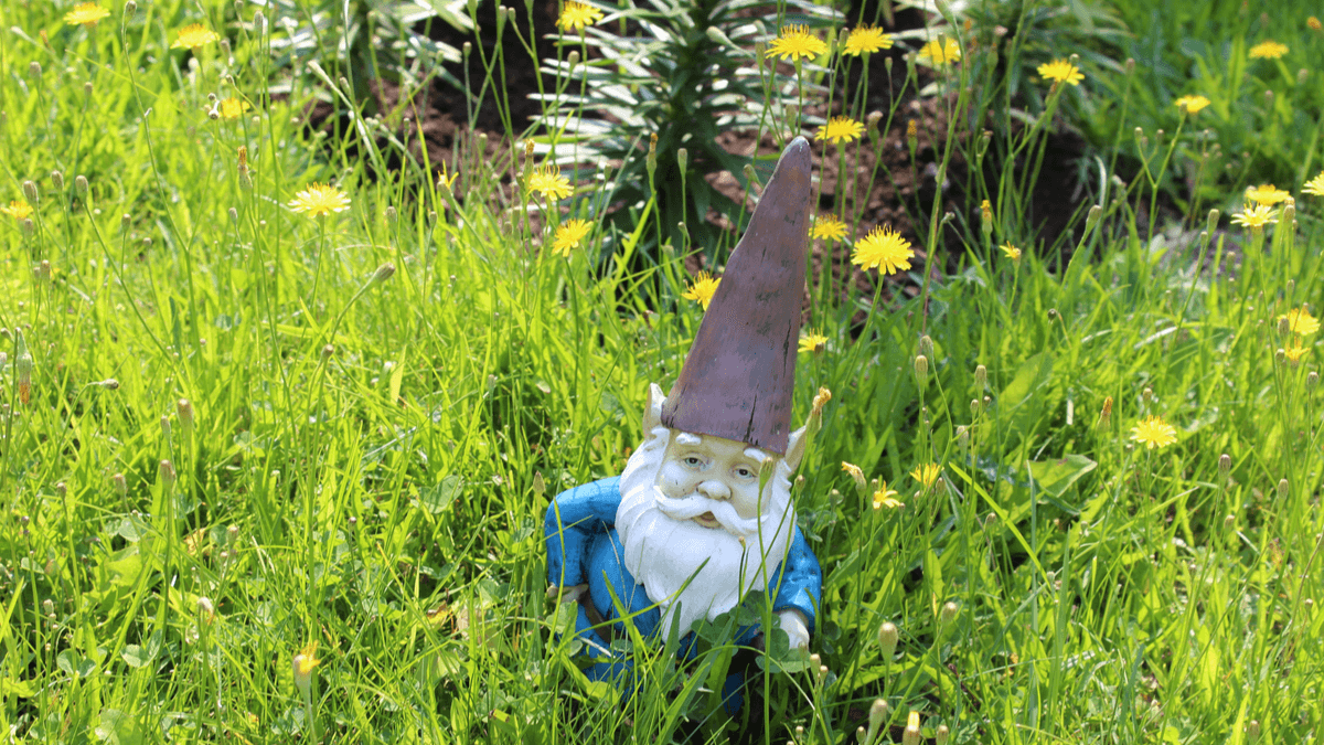 5 Ways to Makeover an Overgrown Garden Best Pick Reports